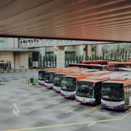 stazione autobus