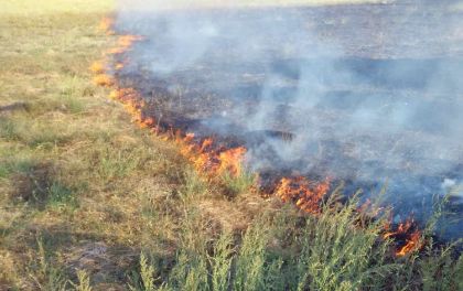 Misure di prevenzione rischio incendi boschivi in vista del periodo di massima pericolosità per gli incendi - annualità 2025 Misure di prevenzione rischio incendi boschivi in vista del periodo di massima pericolosità per gli incendi - annualità 2025