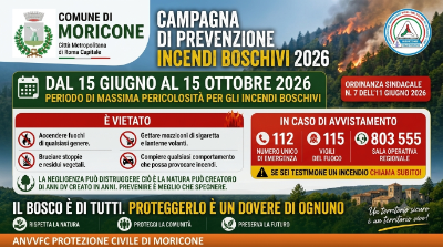 INCENDI BOSCHIVI