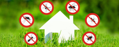 disinfestazione giugno 2024 