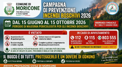 INCENDI BOSCHIVI