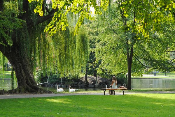 Acqua Pubblica Sabina S.p.A.